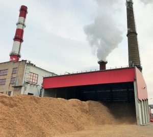 Be biokuro šiluma Klaipėdoje kainuotų trečdaliu brangiau