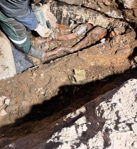 Profesionalios komandos dėka – šalčių iššūkiai sėkmingai įveikti